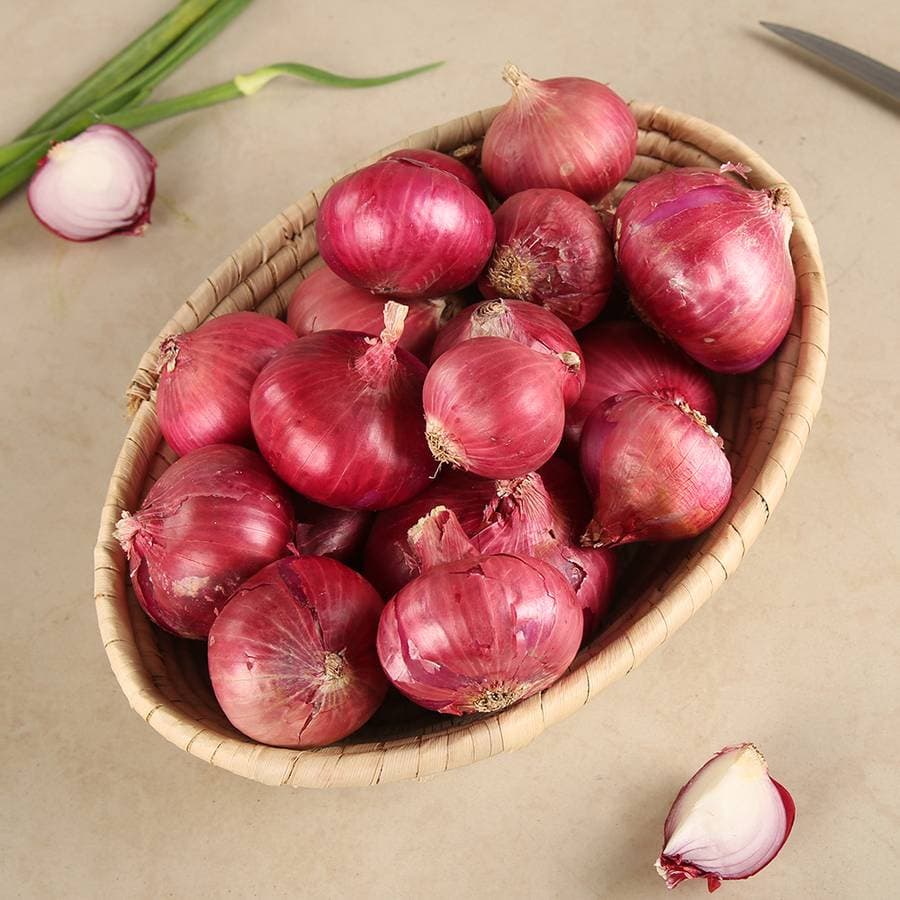 Onion - Image 1
