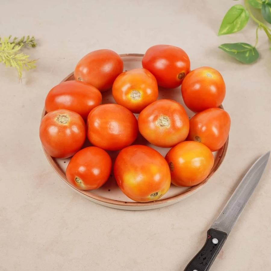 Hybrid Tomato 500 g (Tomato)