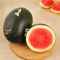 Kiran Watermelon (Tarbuj) - Image 1